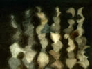TODAVIA. CIPRESES POR LA NOCHE